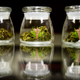 Illustration for article titled If Medical Marijuana Is Legalized, You Can Thank The Tea Party